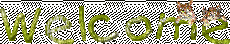 welcomecat.gif (21168 bytes)